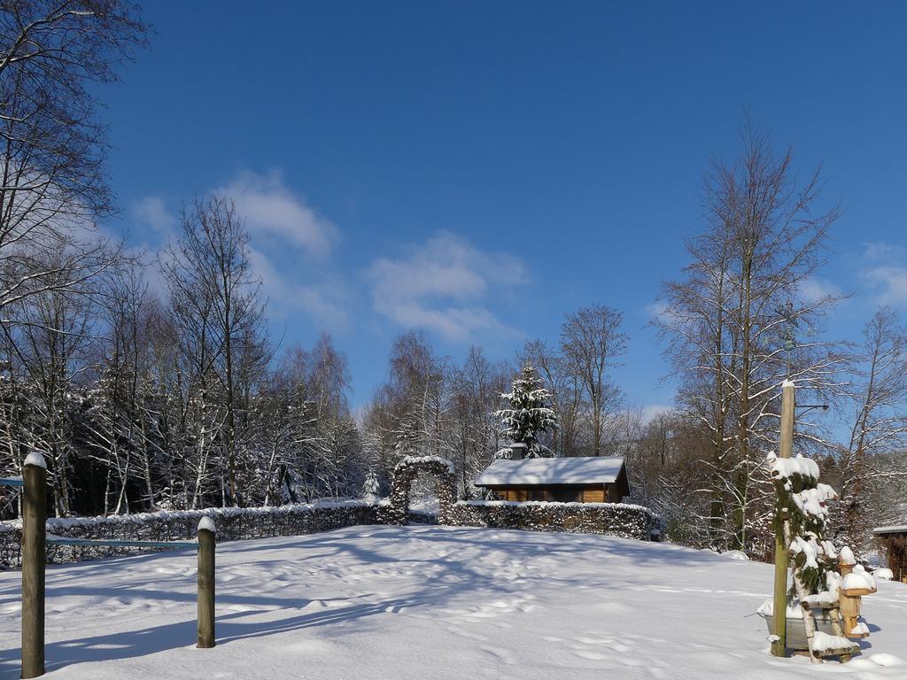 Pension Haus Am Walde Шмалленберг Экстерьер фото